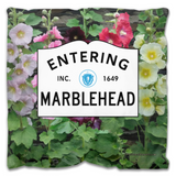 Entering Marblehead Sign, Holyhocks - Outdoor Pillow