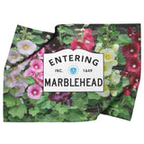 Marblehead - Entering Marblehead sign - Hollyhocks