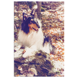 Merlin