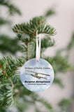 Marblehead - Birthplace of Marine Aviation Ornament - Get 50% OFF when you buy 10 or more! MIX & MATCH!