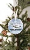 Marblehead - Birthplace of Marine Aviation Ornament - Get 50% OFF when you buy 10 or more! MIX & MATCH!